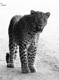 Fine Art Nature Photography