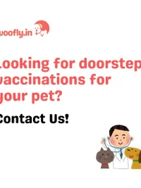 Home Veterinary Services