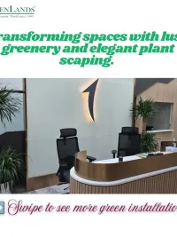 Commercial Greenscaping & Plant Services