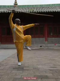 Chinese Martial Arts