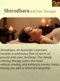 Panchakarma (Detox & Rejuvenation Therapies)
