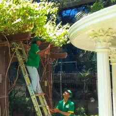 No space is too difficult to reach. Our team comes equipped to handle all tasks, including pruning overgrown creepers and tall plants to ensure they remain healthy and well-shaped.