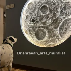 This is one of my favorite photos ever. At the end of a project, the client's dalmatian, Kaala, stood admiring the newly installed moon mural. It’s a reminder that good art can captivate anyone.