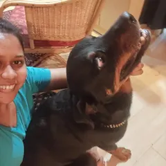 This is what trust looks like. Simba, my Rottweiler, is letting me trim his nails without a muzzle or any restraint. Building this level of trust is the first and most important step in any canine training or behavior rehabilitation, especially for dogs with a history of fear or aggression.