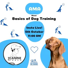 I host regular "Ask Me Anything" sessions on Instagram Live. This is your chance to ask me about the basics of dog training and get your queries answered directly.