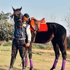 A moment of affection with one of my black horses. I encourage riders to spend time building a relationship with their equine partners outside of training.