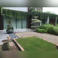 A zen garden court we designed for a home in Ahmedabad. The composition uses gravel, river stones, lawn patches, and a specimen tree to create a space for contemplation and calm, with a curtain of cascading vines in the background.
