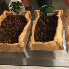 This shows the beginning of the microgreens journey. These biodegradable grow bags are filled with soil and labeled, ready for seeds to be sown. It’s a simple and rewarding process to watch your own food grow from the start.