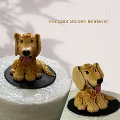 A close-up of a fondant Golden Retriever I sculpted for a cake. I love capturing the personality of beloved pets in edible form. This was made by yours truly!