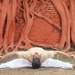 Practicing an asana is a way to use the body to arrive at stillness. The physical form is a doorway to a deeper, more meditative dimension of life.