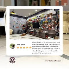 "Definitely our new favorite spot for grooming!" We are so grateful for this 5-star review from Isha Joshi, who loved our spacious play area, boarding services, and the convenience of our pet-parent cafe.
