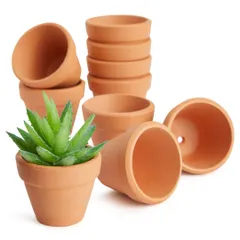 Fall in love with our mini terracotta pots. 🪴 They are perfect for small succulents, gifting, or starting your own collection of tiny plants.