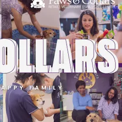 This collage provides a snapshot of our 360-degree services, from spa and grooming to retail and veterinary care. It represents our commitment to providing a comprehensive, values-driven experience for every pet.