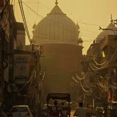 The golden hour in Old Delhi, with Jama Masjid in the distance. My tours often start from Delhi, and I love showing people the chaotic beauty of its streets. It's in these everyday moments, not just at monuments, that you find the real stories.