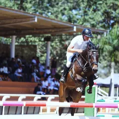 The thrill of victory begins here. Our arena is built to host prestigious equestrian events like the Karnataka State Equestrian Competition, providing a professional backdrop for moments of peak performance and skill.