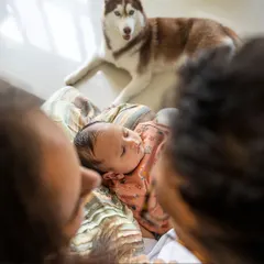 A protector from day one. Aspen the husky watching over his sleeping baby brother is a perfect example of the gentle soul these big dogs can be. I focus on capturing these natural, peaceful interactions during my at-home newborn shoots.