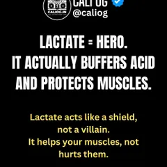 Lactate is the hero, not the villain. It actually acts as a shield, buffering acid and protecting your muscles during intense exercise.