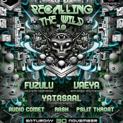 The full lineup for 'Recalling the Wild 3.0' at Club Chapter 6. It was a night dedicated to the deeper, wilder side of psytrance.