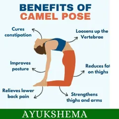 This infographic details the many benefits of Camel Pose (Ustrasana). It helps improve posture, relieves lower back pain, strengthens thighs, and even loosens up the vertebrae for a more flexible spine.