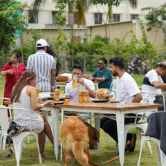 Friends enjoying a Sunday brunch with their dogs right by their side. Our outdoor seating allows your pets to be part of the dining experience.