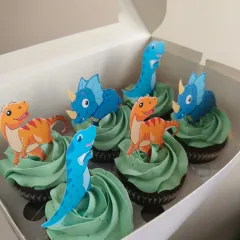 These dinosaur themed cupcakes are always a huge hit for kids' birthday parties. I use bright, fun colors and cute toppers to match your party's theme perfectly. These are my classic vanilla cupcakes with green vanilla frosting.