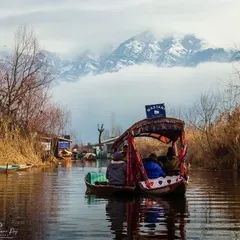 A quiet shikara ride on the waters of Kashmir, with the majestic, snow-covered Pir Panjal range watching over. This is the kind of peace I seek to capture, a moment of pure serenity where nature does all the talking.