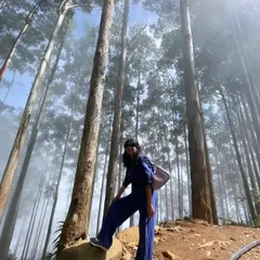 Standing tall among the majestic pine trees in Kodaikanal. These are the moments of peace and adventure that I love to share.