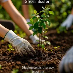 One of the core benefits of gardening is its therapeutic effect. We believe getting your hands in the soil is a powerful stress buster, connecting you back to nature.