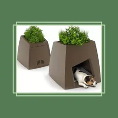We even have solutions for your furry friends. This unique planter doubles as a cozy dog house, integrating your pet's comfort into the overall design of your garden. It’s a fun and practical piece that shows great design can be for everyone in the family.