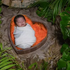 A beautiful nature-inspired setup with a newborn nestled in a heart-shaped basket surrounded by lush greenery.