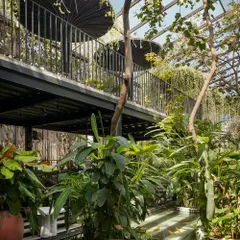 A view from the lower level of the Sunrise restaurant, looking up at the mezzanine. Trees and plants grow through the structure, connecting the different levels and reinforcing the biophilic design concept.