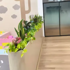 We designed this long planter to serve as a beautiful and functional divider in a children's play area or creative workspace. The mix of colorful and green plants adds vibrancy while separating different zones.
