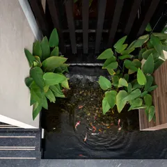 An overhead view of the koi pond, a key element of this outdoor sanctuary design. The water feature serves as a soothing anchor, separating formal and private areas while maintaining a sense of connection and flow.