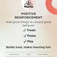 Positive reinforcement is about adding something good, like a treat or praise, to reward a behavior you want to see more of. This simple technique builds trust and makes learning fun for your pet.