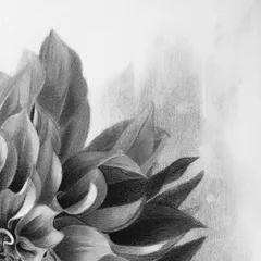 Another detail, focusing on the play of light and shadow that gives the flower its form.