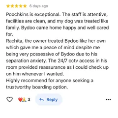 Nothing makes us happier than receiving messages like this. We are so glad Bydoo's mom felt at peace knowing he was safe and loved, especially with his separation anxiety. This is the trust we build with every family.