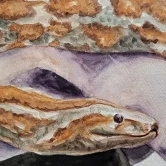 A close-up of the snake from my "Wild lives in her soul" painting. I spent a lot of time on the scales to make them look as realistic as possible with watercolor.