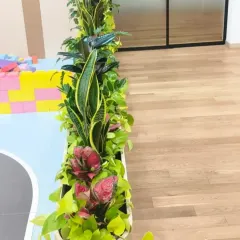A top-down view of the planter, showing the rich variety of plants used. This mix includes Snake Plants, Aglaonema, and Money Plants, all chosen for their aesthetic appeal and suitability for indoor environments.