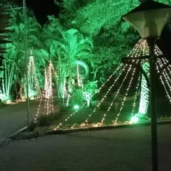 An example of decorative lighting for an outdoor venue. I wrap trees and lampposts with fairy lights to create a festive and enchanting environment for corporate parties or evening functions.