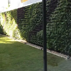 A view from inside, looking out onto a lawn and a beautiful vertical garden. A living wall provides a much better view than a plain boundary wall, creating a private green sanctuary.