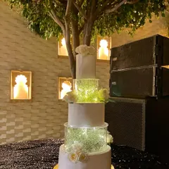 A stunning 11kg wedding cake that truly lit up the room. The design features separator tiers filled with fairy lights and baby's breath, with a smooth vanilla buttercream finish and fresh white roses.