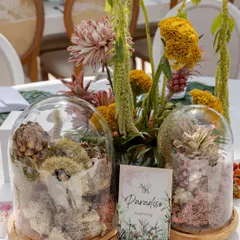 A wedding lunch tablescape where elegance meets romance. The centerpiece features unique florals and fruits in a glass cloche, creating a 'paradise' theme.