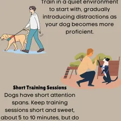 To set your dog up for success, we start training in a quiet environment and keep sessions short, around 5 to 10 minutes. This respects their short attention spans and makes learning more effective.