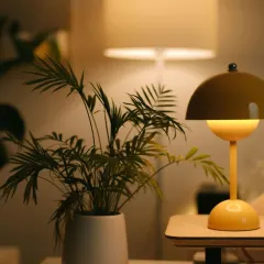 An Areca Palm in a simple white pot, perfectly suited for a desk or side table. Its feathery fronds add a soft, natural texture to an office or home setting, especially under warm ambient light.