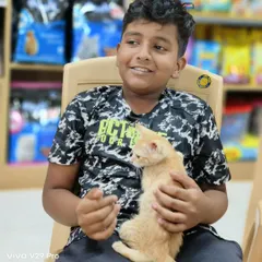 The pure joy of a child meeting a tiny ginger kitten at our cat adoption drive. Events like these are so important for teaching empathy and creating the next generation of animal lovers.