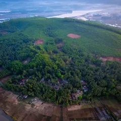 The fertile banks of the Aghanashini River in Uttara Kannada, a lifeline for the region. From above, you can see the intricate network of the river, mangrove forests, and agricultural lands that it supports.