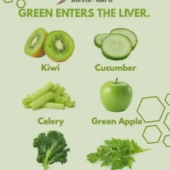 Green foods are essential for liver health and detoxification. Items like kiwi, cucumber, celery, and kale are packed with vitamins and chlorophyll to cleanse your system and keep your energy high.