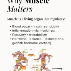 Muscle is a living organ that regulates blood sugar, inflammation, metabolism, and hormones. It's not just about strength.