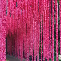 A portal of vibrant pink flowers creates a dramatic entrance for a quirky Mehendi party. This immersive floral tunnel was designed to transport guests into a world of fun and celebration.