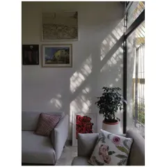 A close-up of the light and shadow play in the Franklin Residence. This daily performance of light is a key part of the home's living character.